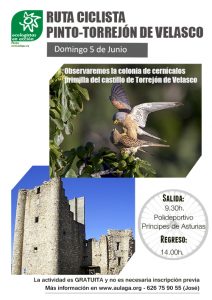 cartel torrejon_web